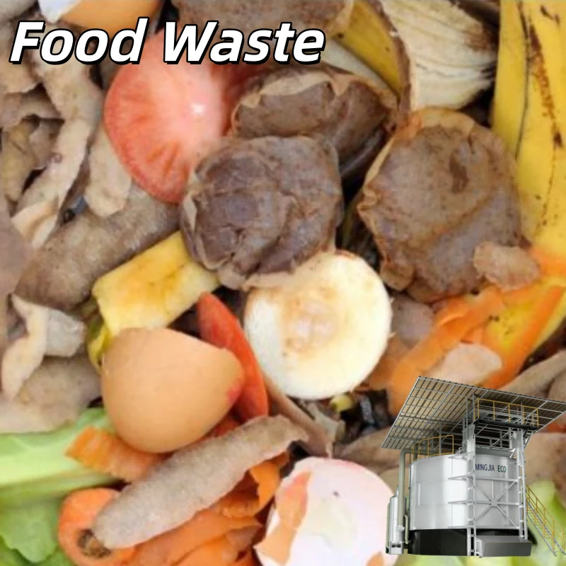 product-800-800