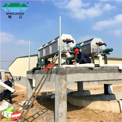 Stainless Steel Screw Extruder For Cow Manure Dewatering